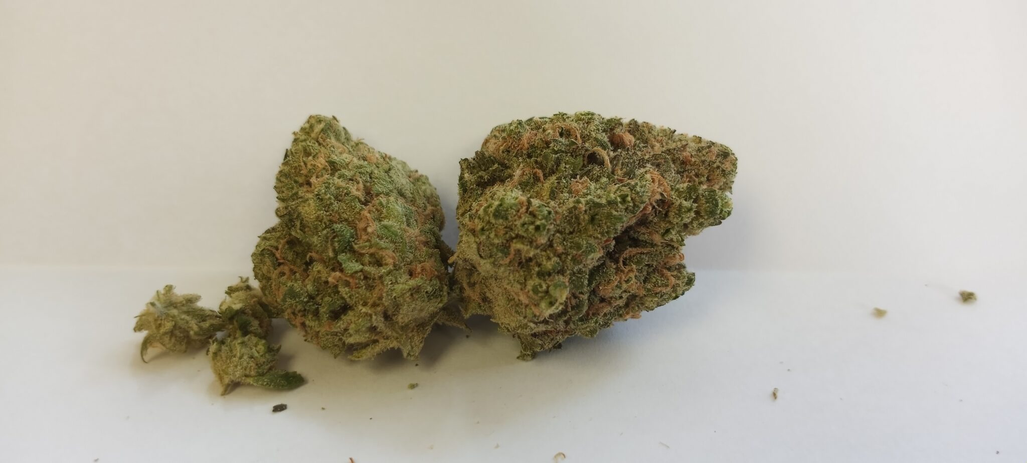 blue dream from pakalolo
