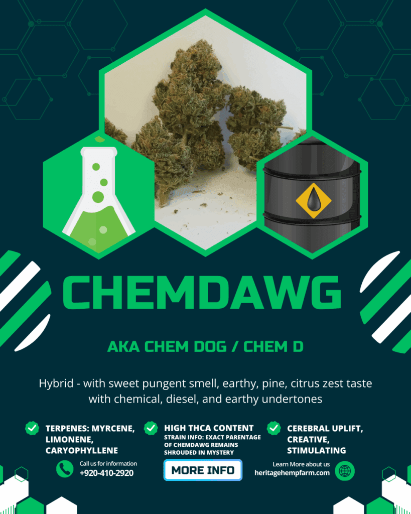 chemdawg