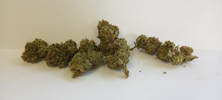 Original Glue (GG#4)