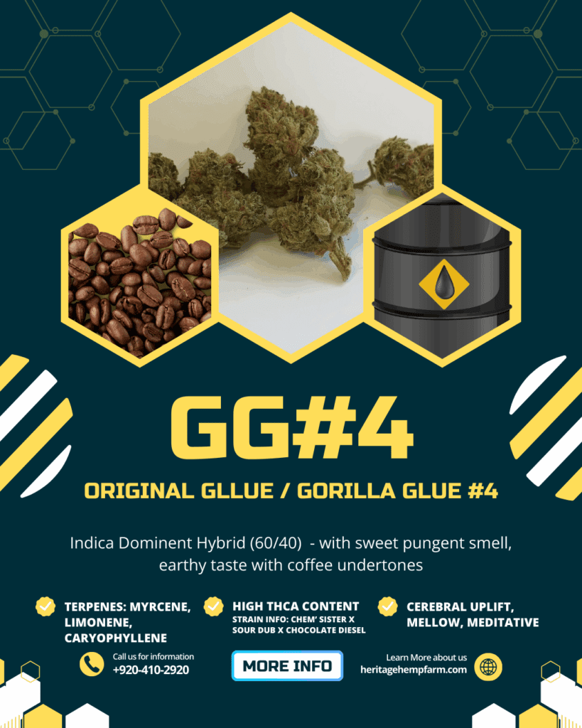 gg#4 thca strain information