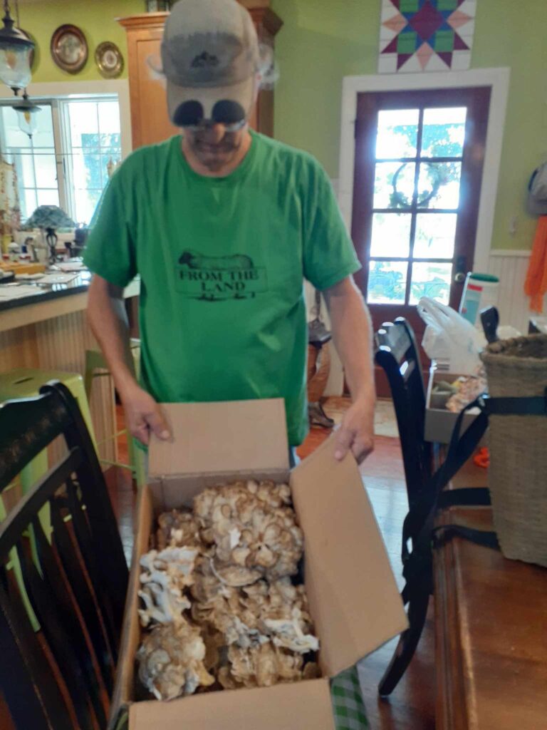 jay and hen of the woods 2024