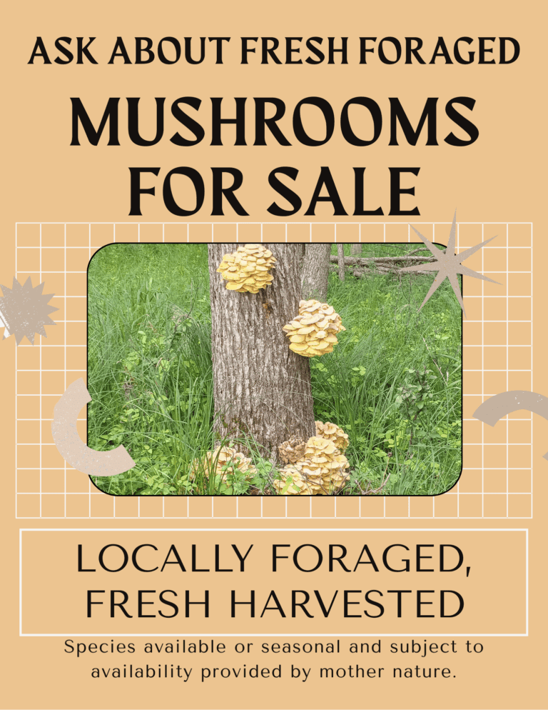 mushrooms for sale