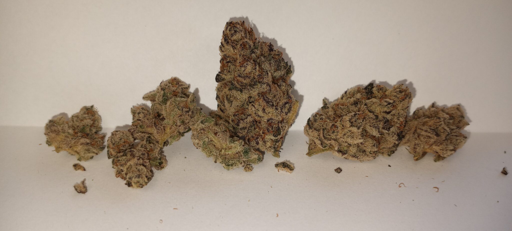 Platinum Kush THCa Cannabis Strain