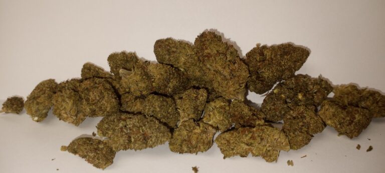 Slapz Hemp Cannabis Strain Information