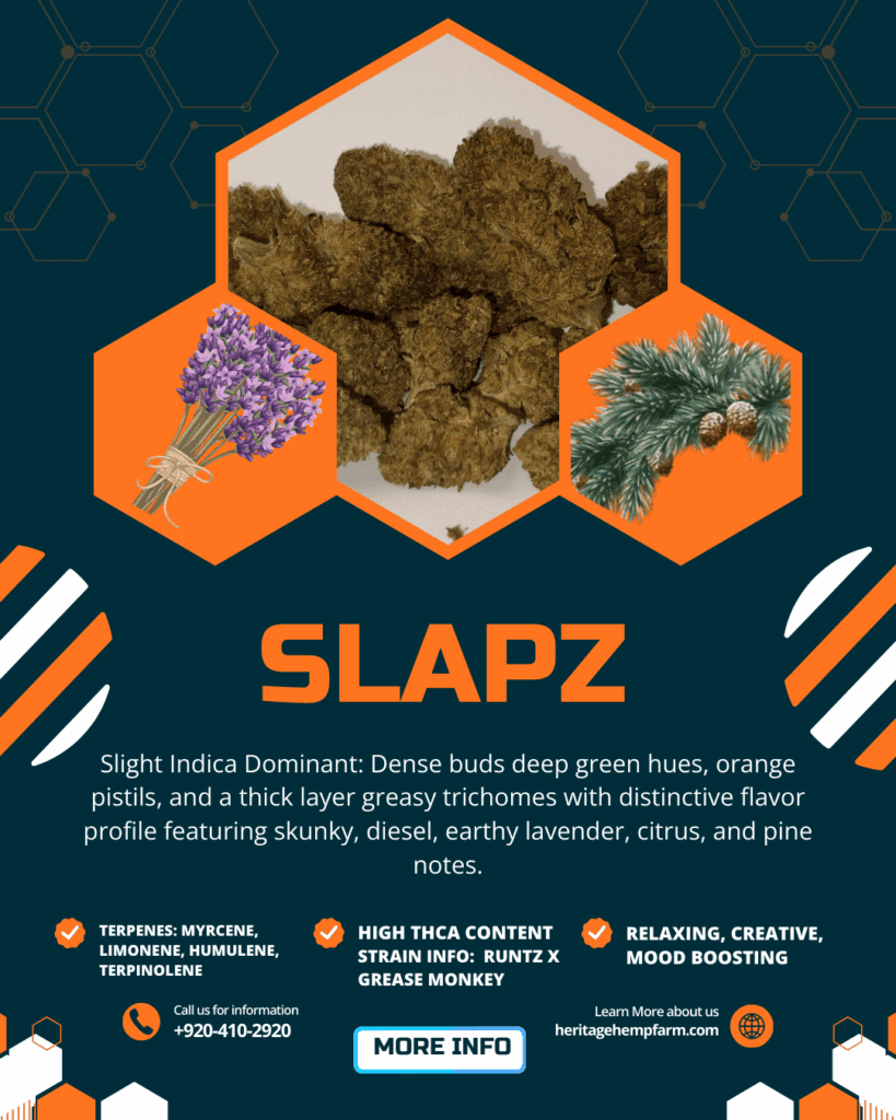 slapz