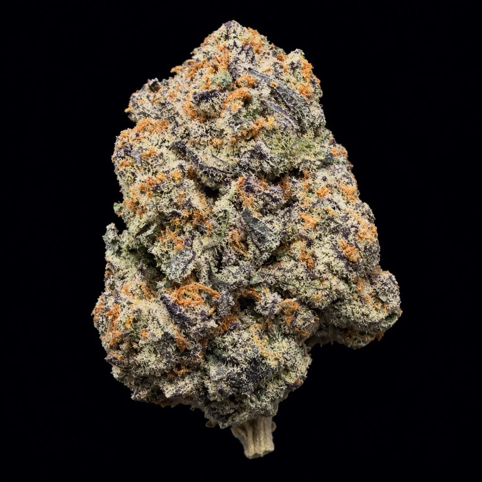 candy jack thca flower