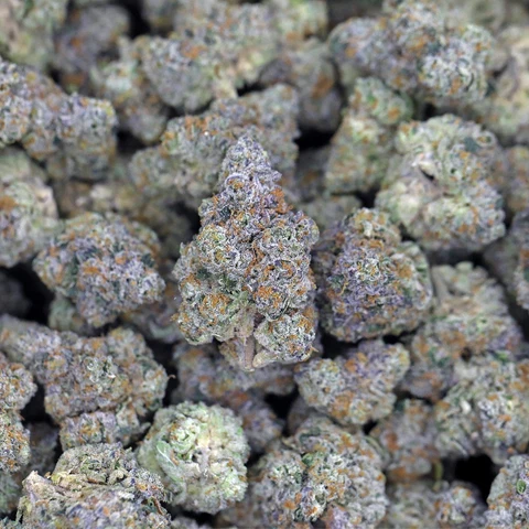*exotic* aaa grade pink runtz thca flower by kush queen