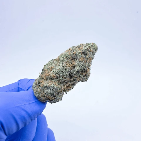 *exotic* aaa jet fuel og thca flowerby kush queen (copy) *exotic* aaa jet fuel og thca flowerby kush queen (copy)