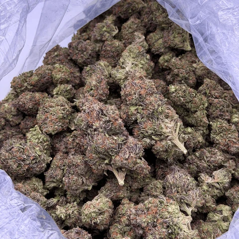 *private reserve* aa grade lemon cherry gelato thca flower by kush queen *private reserve* aa grade lemon cherry gelato thca flower by kush queen