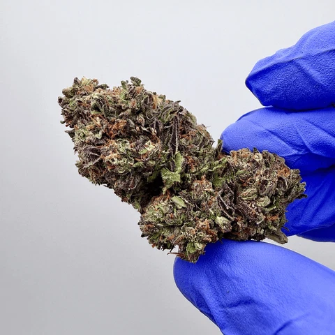 *private reserve* aa grade lemon cherry gelato thca flower by kush queen